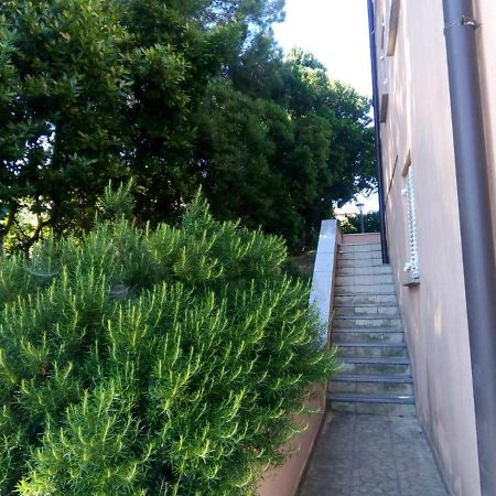 Villa Riva Ουμάγκ Εξωτερικό φωτογραφία